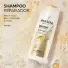 Sh Pantene Mol Bond Repair 300Ml