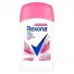 Ds Rexona Stick Powder Dry 45G